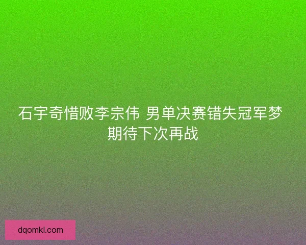 石宇奇惜败李宗伟 男单决赛错失冠军梦 期待下次再战
