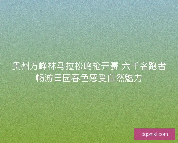 贵州万峰林马拉松鸣枪开赛 六千名跑者畅游田园春色感受自然魅力